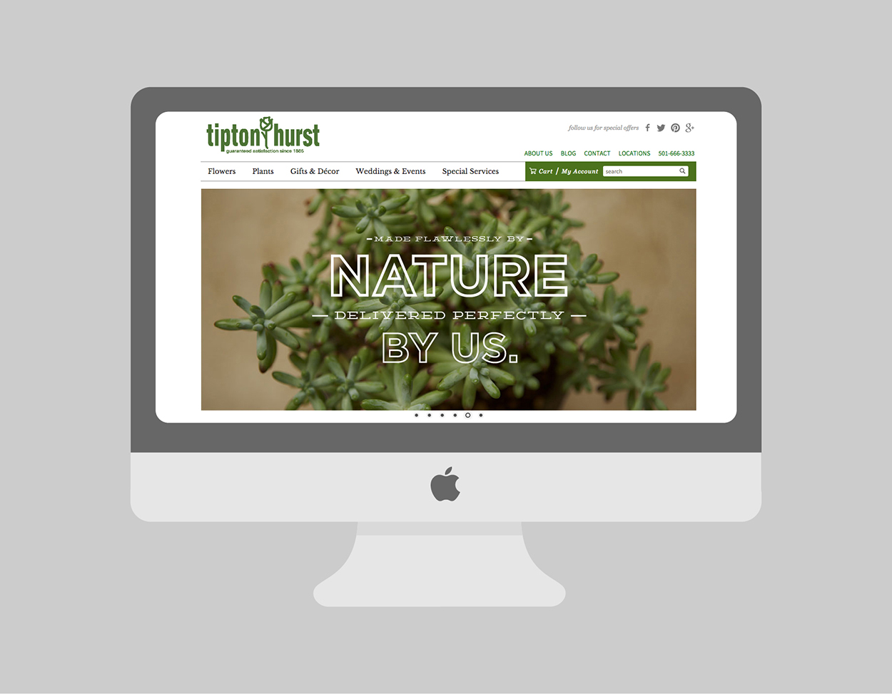 Tipton Hurst Web Design
